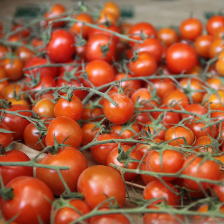 Tomatenrispen