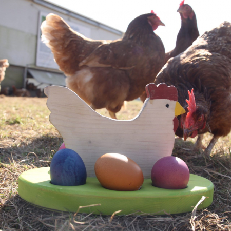 Pauli-Huhn aus Holz und Hühnern
